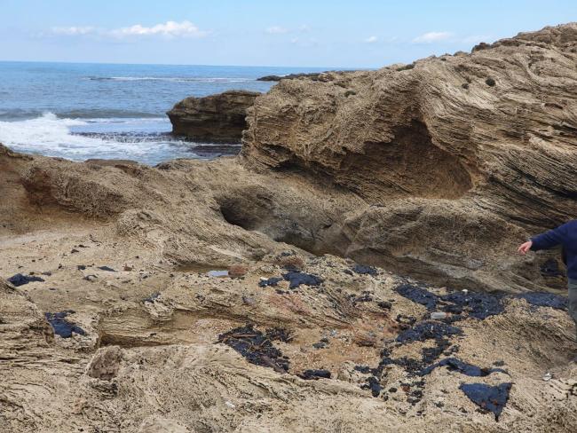 Директор Green Ocean Вадим Манов: причиной экокатастрофы на побережье Израиля стал накопившийся на дне использованный мазут