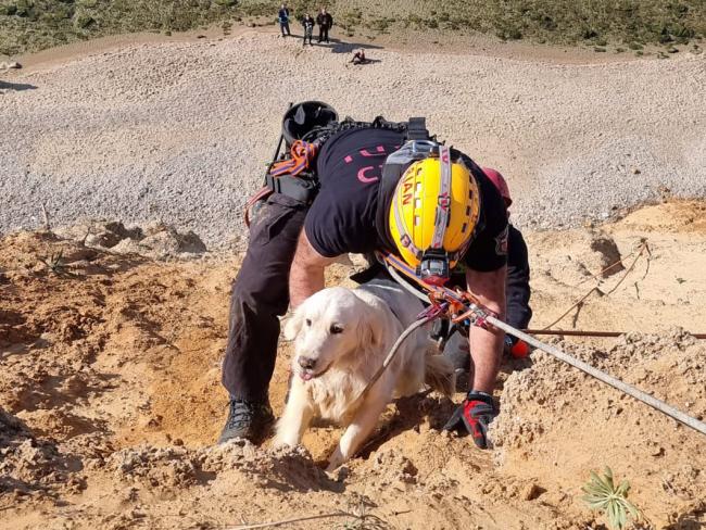 Спасатели пожарной части оказали помощь собаке, упавшей со скалы возле Арсуфа
