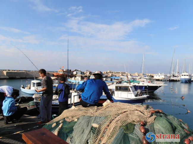 Израиль вновь расширил рыболовную зону на границе с Газой до 6 миль