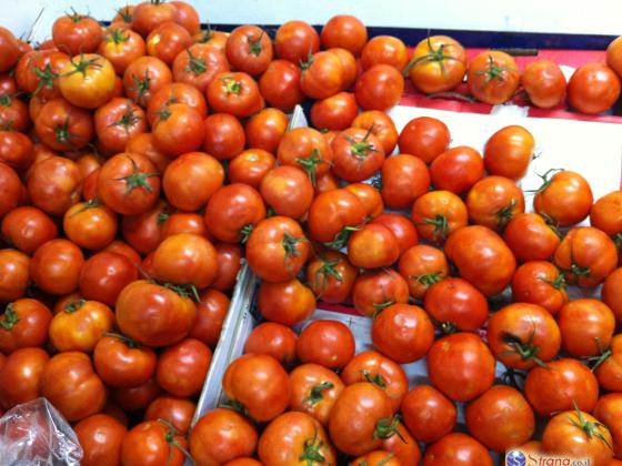 Сектор Газы поставил в Израиль 27 тонн помидоров