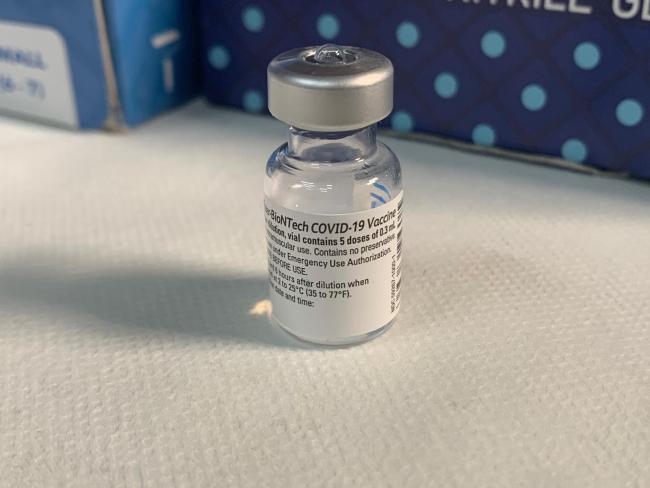 Министерство по связям с диаспорой хочет предоставить вакцины от коронавируса пережившим Холокост во всем мире