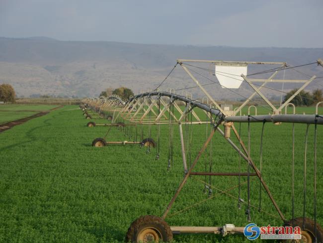Подозрение на кибер-атаку на сельскохозяйственные угодья в Галилее