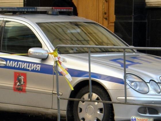 Московская полиция два дня ищет кота-шахида