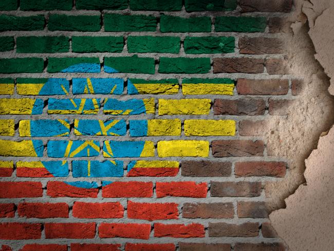 Эфиопия требует от «Химикалим ле-Исраэль» 55 миллионов долларов