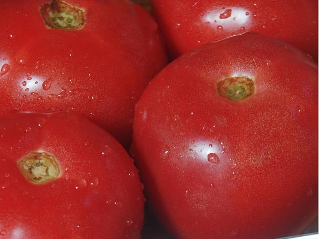  Уничтожение продукции: израильским фермерам невыгодно продавать помидоры 