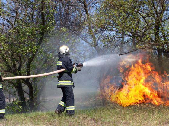 Евреев-пожарных отстранили от работы из-за «растительности» на лице