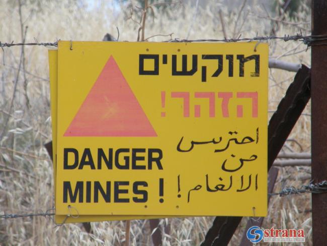Вьетнам заказал в Израиле спецтранспорт для разминирования старых минных полей