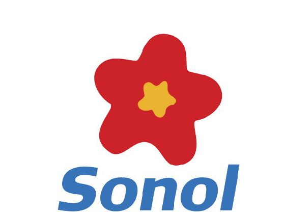 Sonol: 10 интересных фактов про бензин