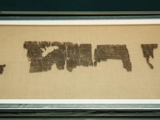 Впервые в Израиле представлен древнейший свиток книги 