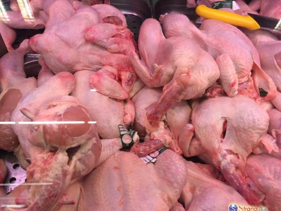 СМИ: почти все мясо домашней птицы в Израиле заражено опасным микробом