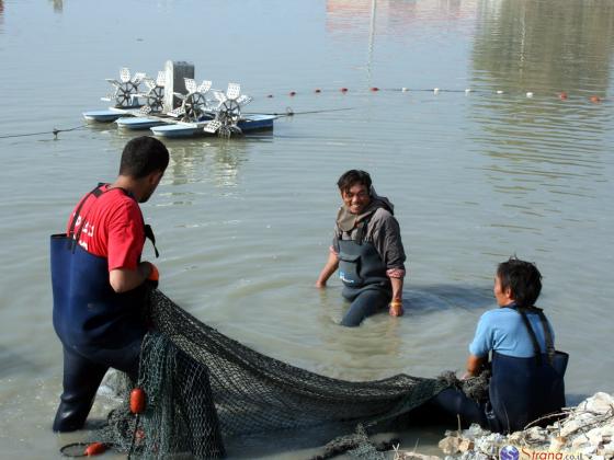 На границе с Газой египтяне создают систему рыбного хозяйства для борьбы с туннелями