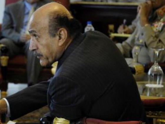 В Египте приведен к присяге вице-президент