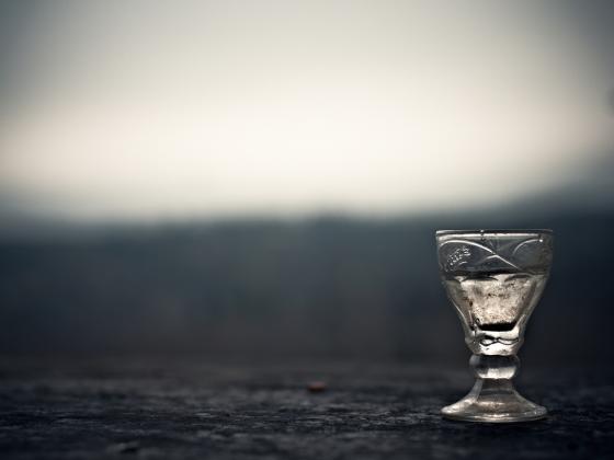 Vodka Moscow признана смертельно опасной для израильтян