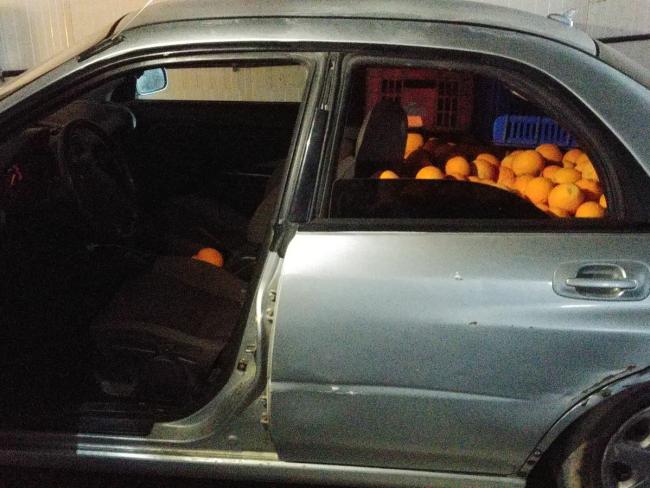 Обвиняемый в хищении 500 кг авокадо задержан за хищение полутонны апельсинов