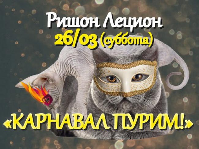 Карнавал Пурим: шоу-выставка кошек