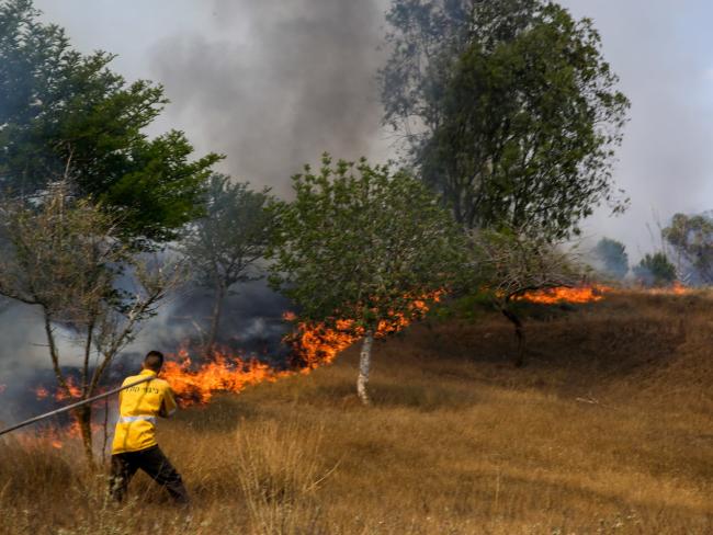 «Огненный шар» вызвал возгорание в лесу Беэри