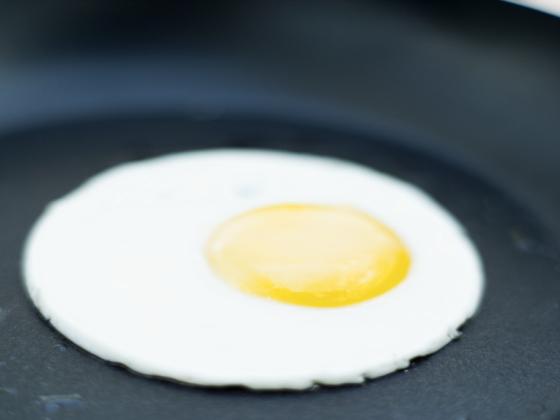 Куриные яйца подорожают на 7% из-за повышения цен на корма