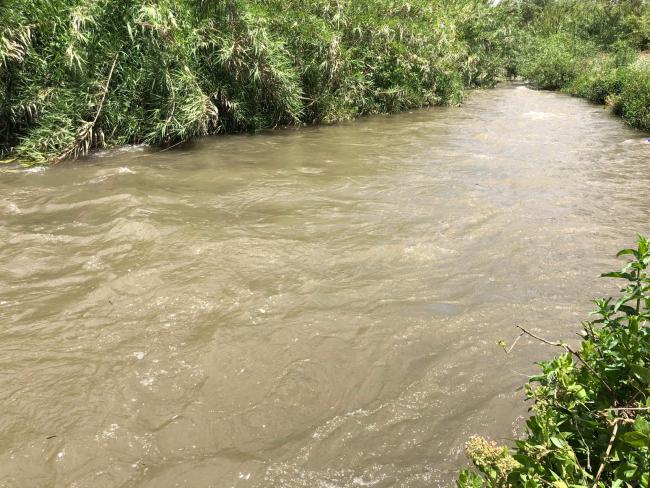 Ученые: коронавирус способен жить в грязных водоемах до 25 дней