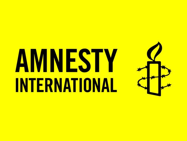 Amnesty International заработает на борьбе с «израильским апартеидом»