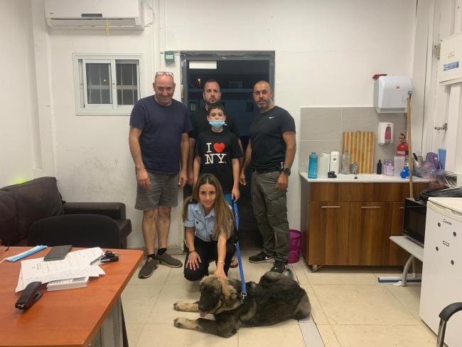 Полиция вернула законным хозяевам собаку, похищенную жителями Фурейдиса