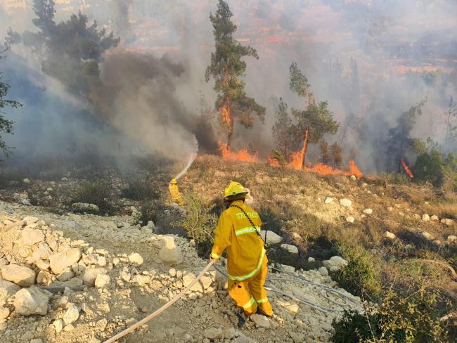 В лесу, расположенном к северу от Бейт-Шемеша, вспыхнул пожар