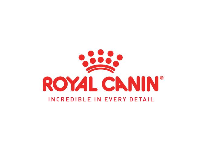 Крупнейший производитель кормов для собак и кошек Royal Canin открывает филиал в Израиле