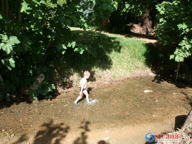 Минздрав не рекомендует купаться в нескольких ручьях на севере Израиля