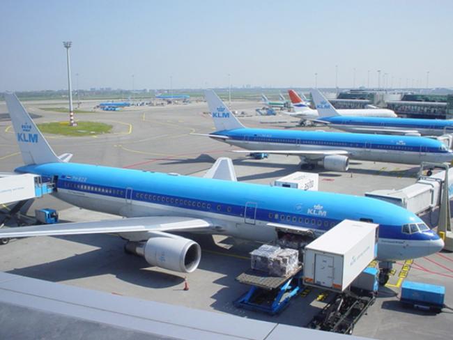 Скандал в Амстердаме: еврейских девочек, летевших из Киева, сняли с рейса на Нью-Йорк