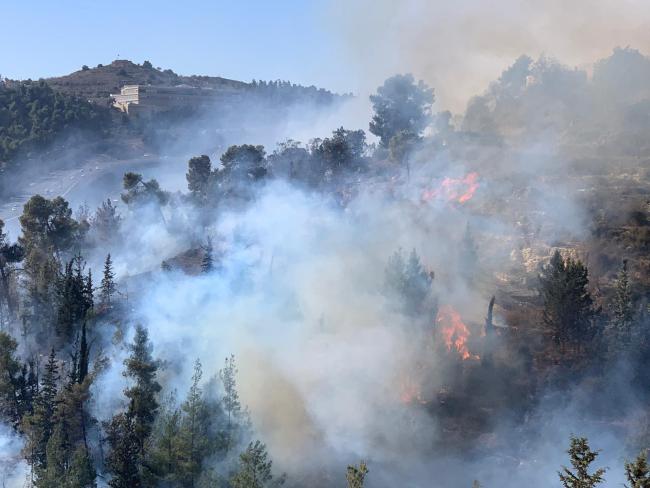 За день в Израиле вспыхнуло около 220 пожаров