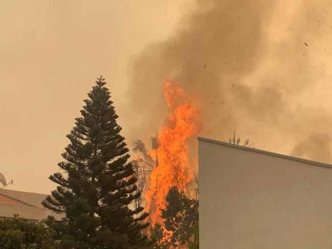 В Израиле бушуют пожары: эвакуируют поселки, ЦАХАЛ привлечен к тушению - фото