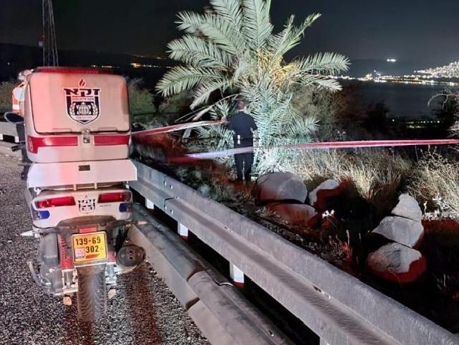 На севере Израиля мужчина погиб, свалившись с пальмы