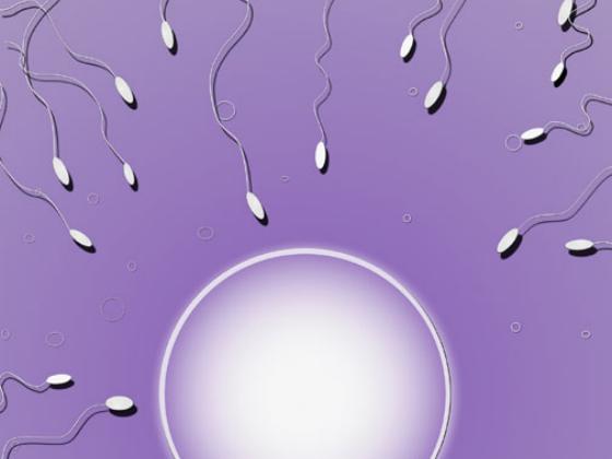 Американские ученые нашли новый способ контрацепции для мужчин