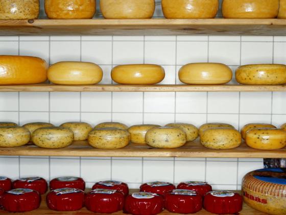 В Израиле может появиться недорогой импортный сыр