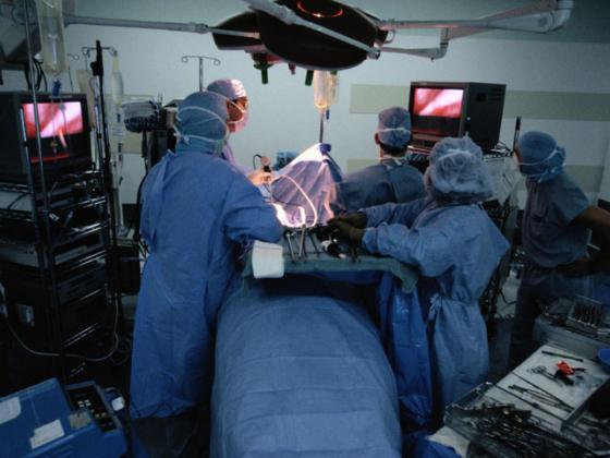 Минздрав Израиля рассказывает школьникам о трансплантации органов