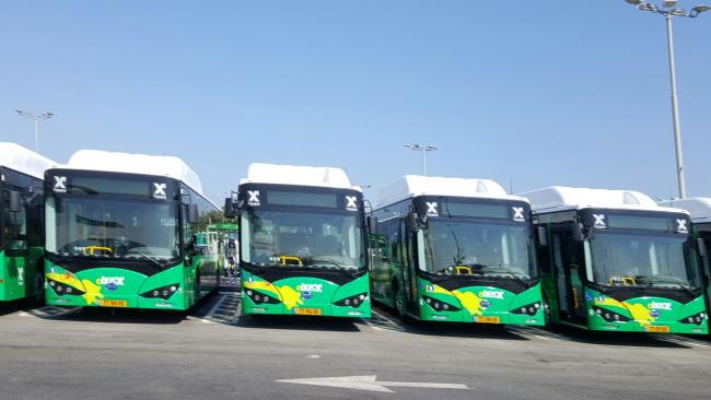 Первые электробусы в Израиле