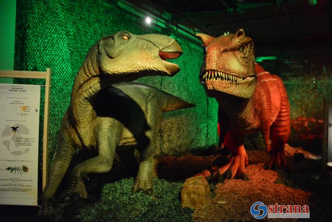 Выставка «Секреты динозавров»