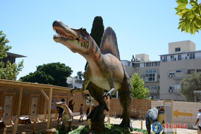 Выставка «Секреты динозавров»