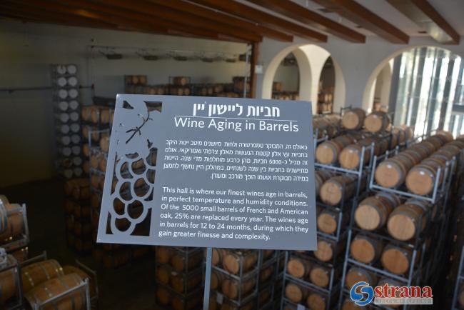 «Баркан» – самая большая израильская винодельня