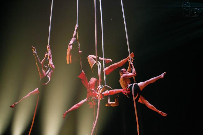 «World Cirque»