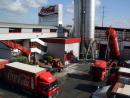 Банок вдвое больше, колы меньше: Coca-Cola выпустила в Израиле банки по 150 мл - сколько стоит 
