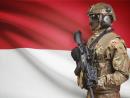 Индонезия готова направить до 8000 военных в миротворческие силы в Газе