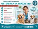 «Ветеринар ба Герцль 126» - здоровье вашего питомца в надежных руках
