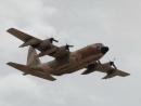 Стая птиц врезалась в транспортник ВВС Израиля с 50 военными на борту