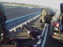 Видео: в Рамалле арестованы четверо подозреваемых в убийстве Павла Розова из Лода