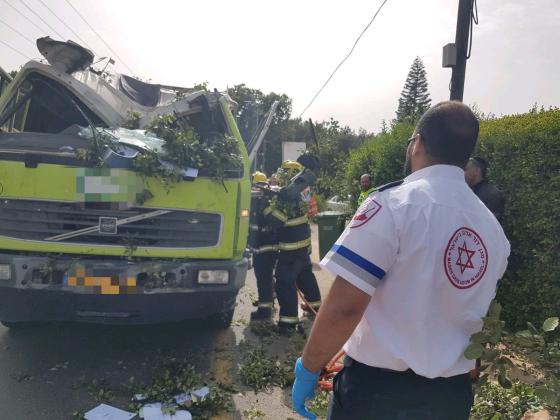 В Пардес-Хане дерево рухнуло на проезжую часть: двое пострадавших