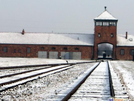 Шесть израильтян требуют от властей Венгрии миллиарды долларов за Холокост