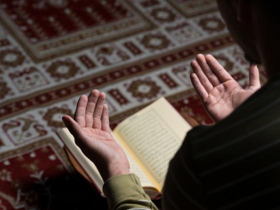  Австрия намерена закрыть 7 мечетей и изгнать имамов