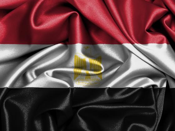 Египет поддержал предложение Трампа направить в Сирию арабские войска
