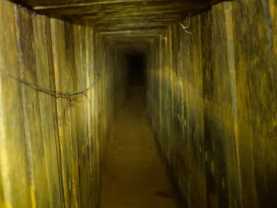 СМИ: КНДР направила в Сирию и Ливан специалистов по строительству подземных бункеров