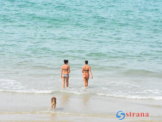 Анализ воды показал, что пляжи Кирьят-Яма пригодны для купания